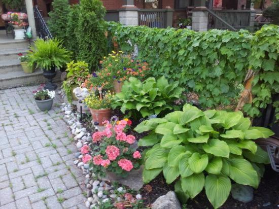 A Hidden Gem Bed And Breakfast Windsor Extérieur photo